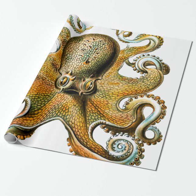 Coola Vintage Octopus Presentpapper (Utrullad)