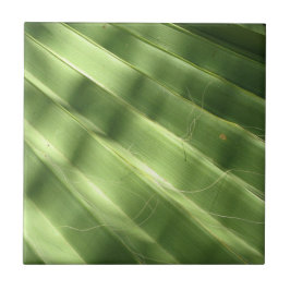 Coola Yta_Fluted Frond naturligt Kakelplatta