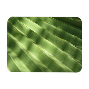 Coola Yta_Fluted Frond naturligt Magnet