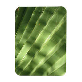 Coola Yta_Fluted Frond naturligt Magnet