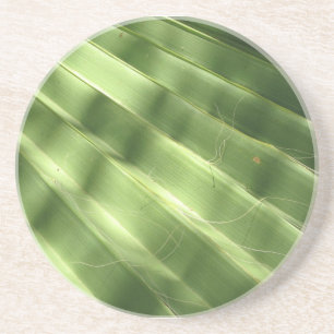 Coola Yta_Fluted Frond naturligt Underlägg Sandsten