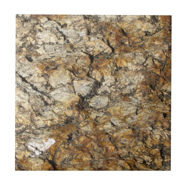 Coola Yta_Marble-utseende Kakelplatta (Framsidan)