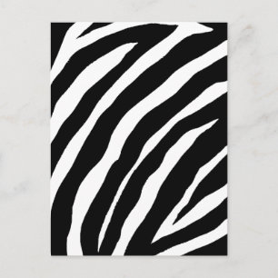 Coola Zebra ränder-kort Vykort