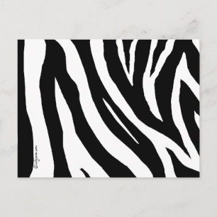 Coola Zebra ränder vykort
