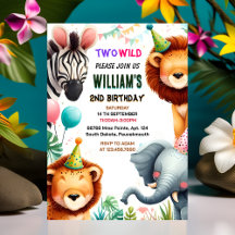 coola zoo zebra safari två Vilder den andra födels