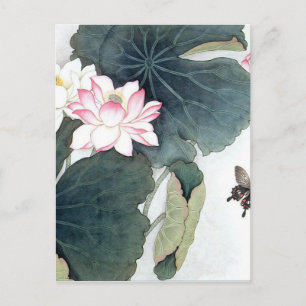 Coolan Asian Lotus Löv Rosa Flower Butterfly Art  Vykort