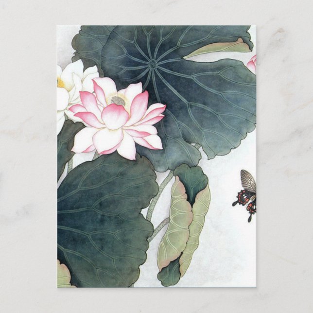 Coolan Asian Lotus Löv Rosa Flower Butterfly Art  Vykort (Framsida)