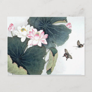 Coolan Asian Lotus Löv Rosa Flower Butterfly Art  Vykort