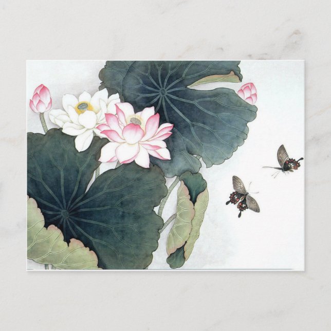 Coolan Asian Lotus Löv Rosa Flower Butterfly Art  Vykort (Framsida)