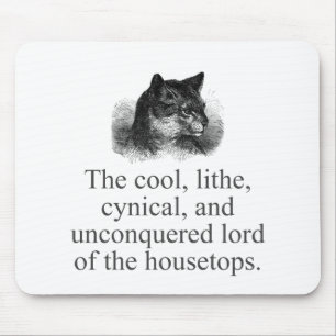 Coolan Lithe Cynical Musmatta