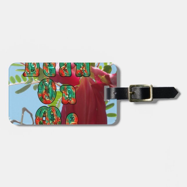 Coolan lutar på mig lower.jpg bagagebricka (Horisontell Framsida)