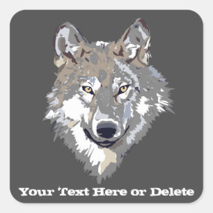 Coolan Text/Färg Lone Varg Animal Grått Fyrkantigt Klistermärke