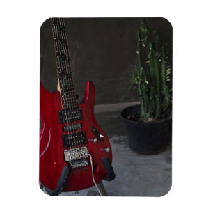 Coolans akustiska gitarr magnet
