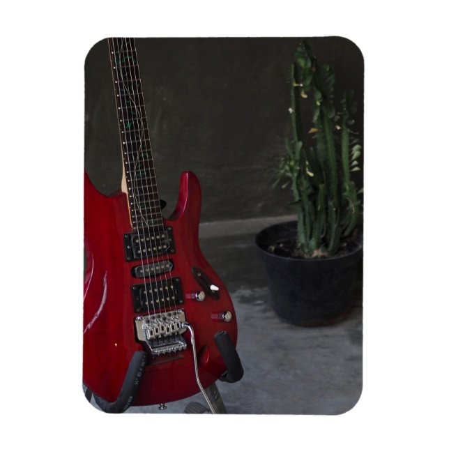 Coolans akustiska gitarr magnet (Vertikal)