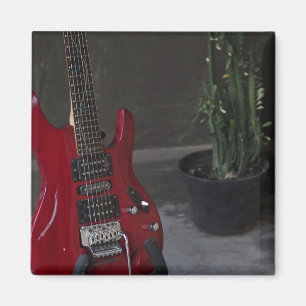 Coolans akustiska gitarr magnet
