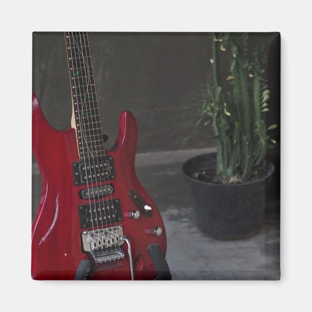 Coolans akustiska gitarr magnet (Framsidan)