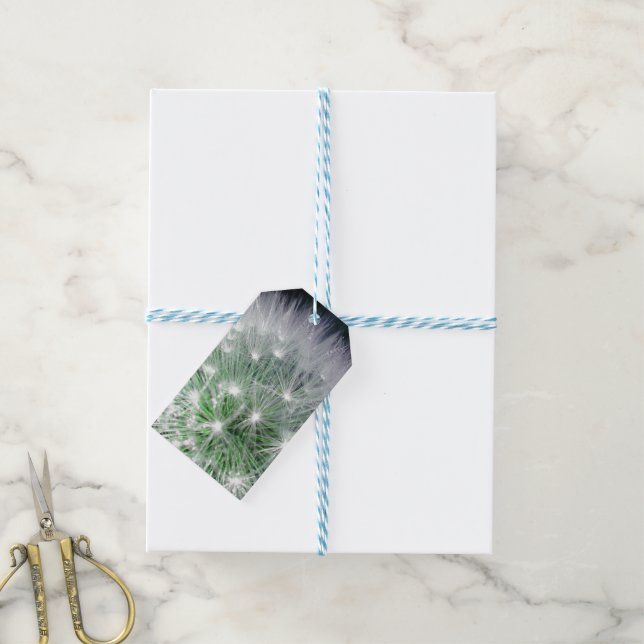 Coolans grönt och vit dandelion med vattendroppar presentetikett (Med Snöre)
