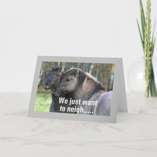 COOLANS HÄSTAR NÄRMAR "GRATTIS PÅ FÖDELSEDAGEN" KORT (Framsida)