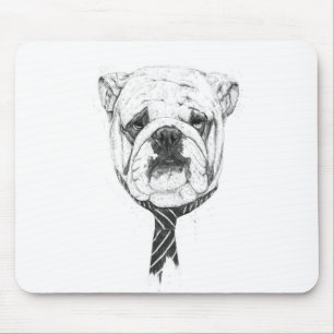 cooldog musmatta