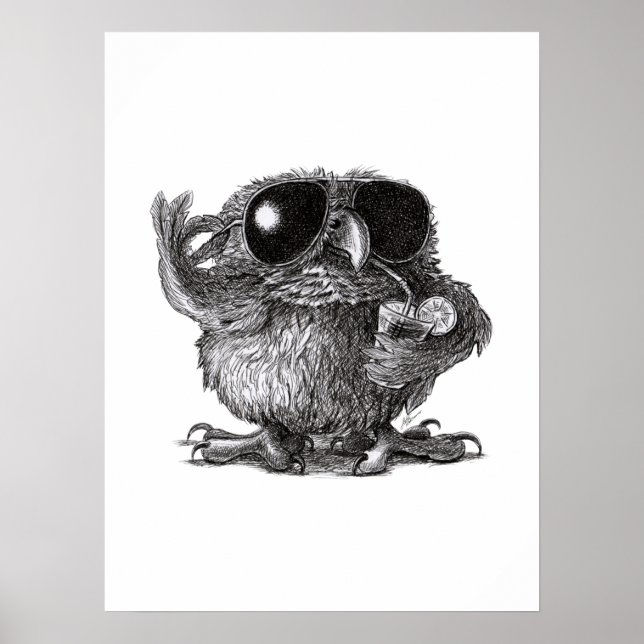 Coole Eule Poster (Framsidan)