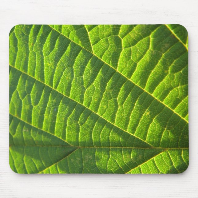 Cooles grünes Blattmuster Musmatta (Framsidan)