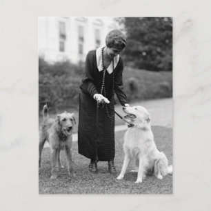Coolidge & The Gang: 1924 Vykort