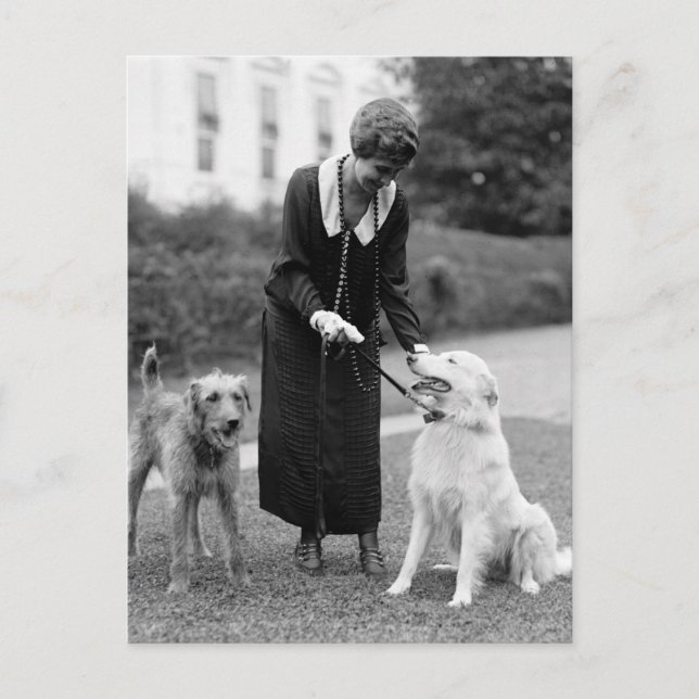 Coolidge & The Gang: 1924 Vykort (Framsida)