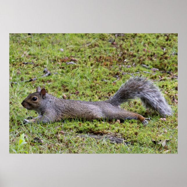 Cooling Off Poster (Framsidan)