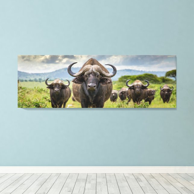 Coolt Buffalo Canvastryck! Canvastryck (Insitu (trägolv))