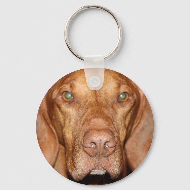 Coon Hound Keychain Nyckelring (Framsida)