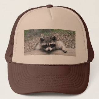 Coonhatt, Racoonbolllock Keps