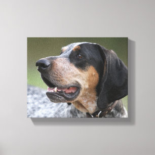 Coonhound Canvastryck