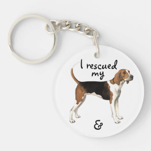 Coonhound för räddingTreeing fotgängare