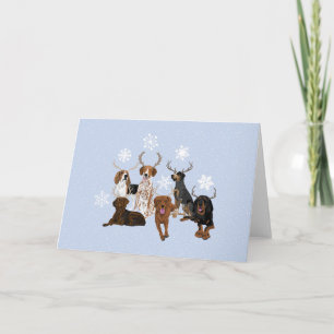 Coonhound Hjort Kort