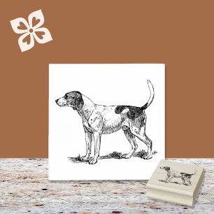 Coonhound Hund aveln Stämpel