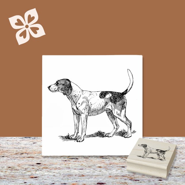 Coonhound Hund aveln Stämpel (Skapare uppladdad)