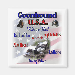 Coonhound-presentationer Magnet