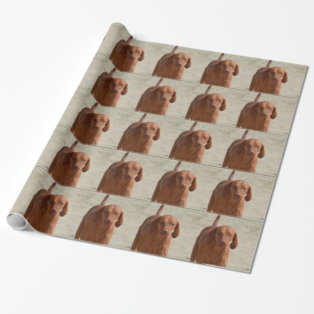 Coonhound Presentpapper (Utrullad)