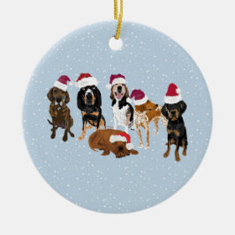 Coonhounds Santa Julgransprydnad Keramik