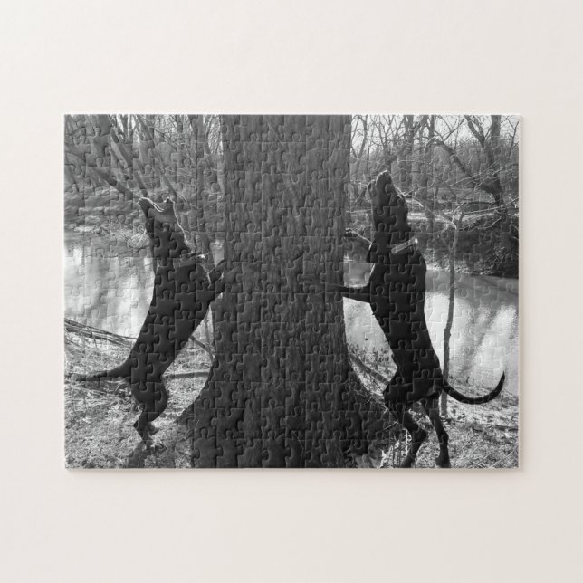 Coonhounds Treing in Black & White Pussel (Horisontell)