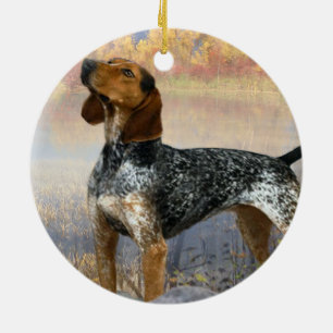 Coonhundprydnad Julgransprydnad Keramik