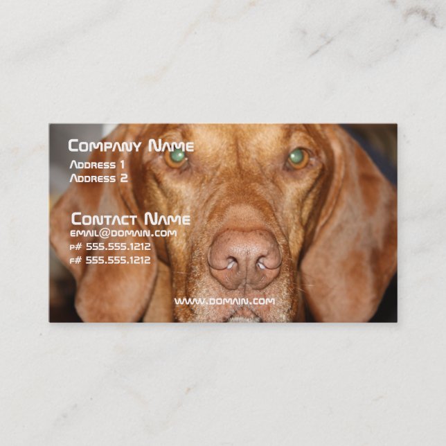 Coonhundvisitkort Visitkort (Framsida)