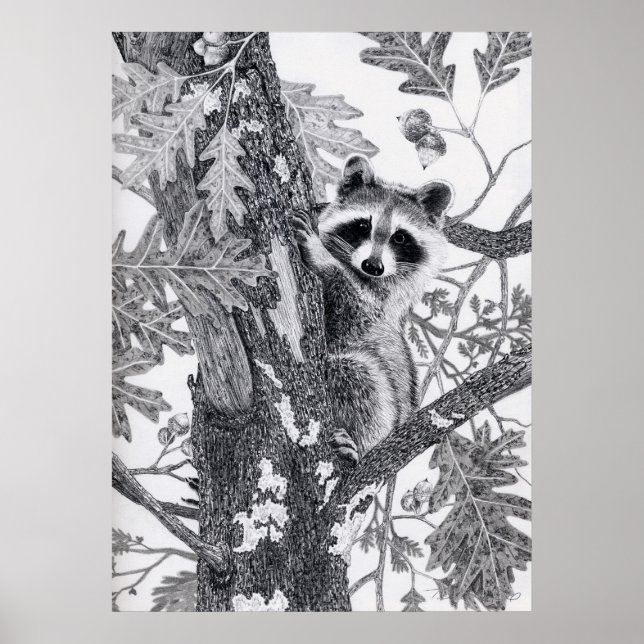 Coonie Poster (Framsidan)