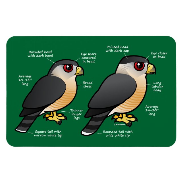 Coop v Sharpie Magnet (Horisontell)