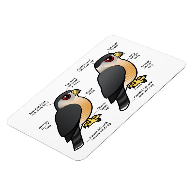 Coop v Sharpie Magnet (Vänstra Sidan)