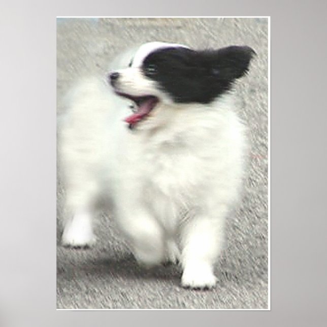 COOPER POSTER (Framsidan)