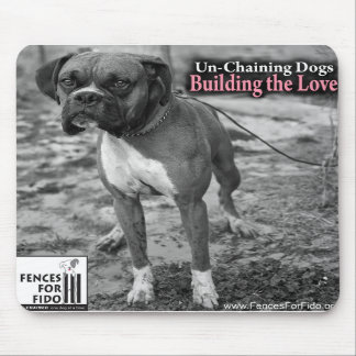 Coopermusen vadderar musmatta