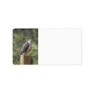 Cooper's Hawk Address Label Adressetikett
