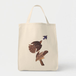 Cooper's Hawk Audubon Birds of Be Tygkasse