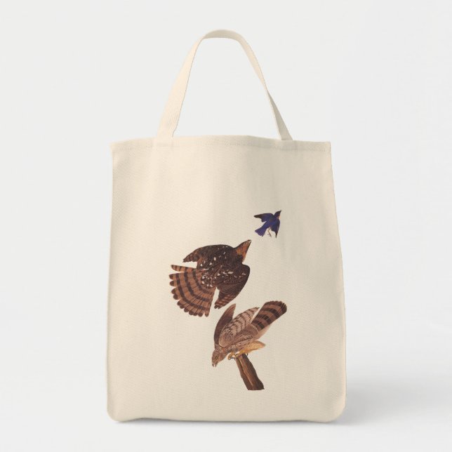 Cooper's Hawk Audubon Birds of Be Tygkasse (Framsidan)